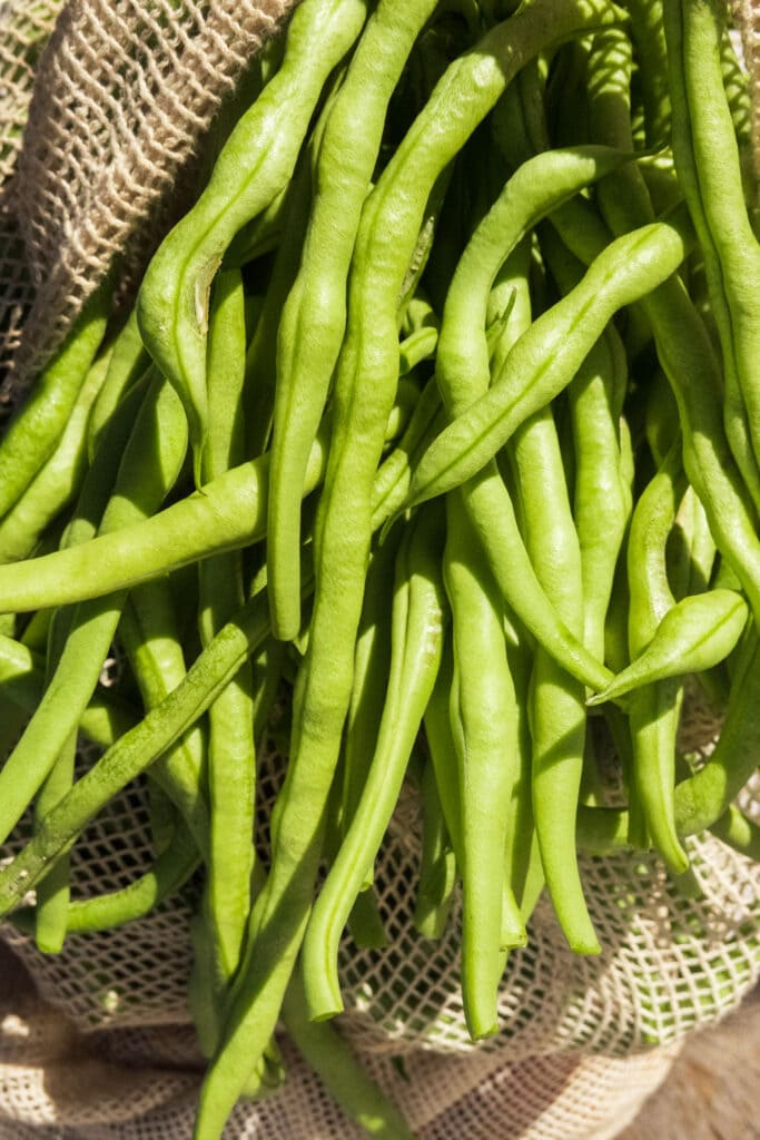bag filled with green beans