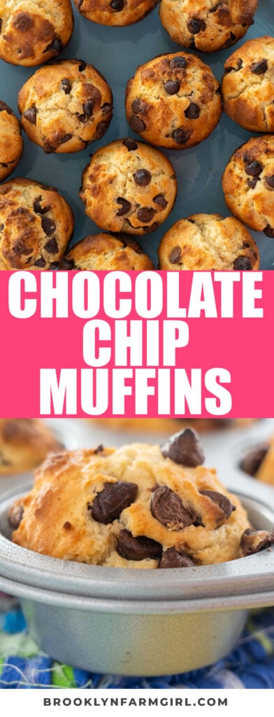 These fluffy chocolate chip muffins are so soft and taste like they came from the bakery! Recipe makes 1 dozen muffins.