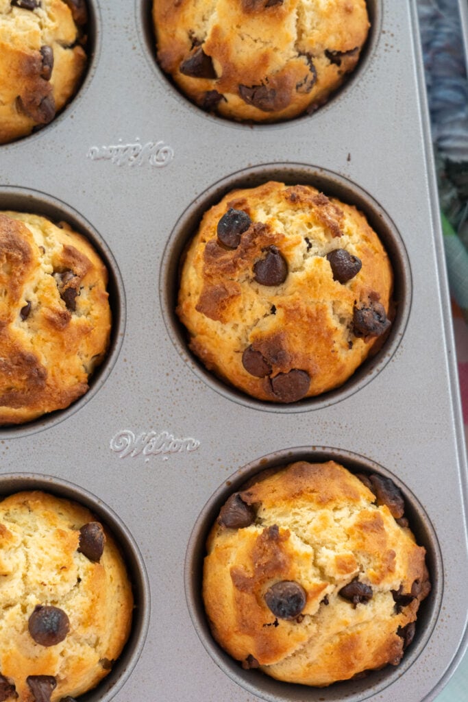 fluffy chocolate chip muffins in baking pan.