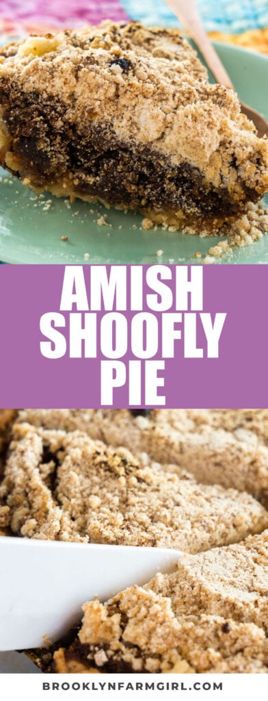 Shoofly Pie, like they make at the Amish markets in Pennsylvania Dutch country. I grew up on these pies, so I hope you like this authentic recipe!