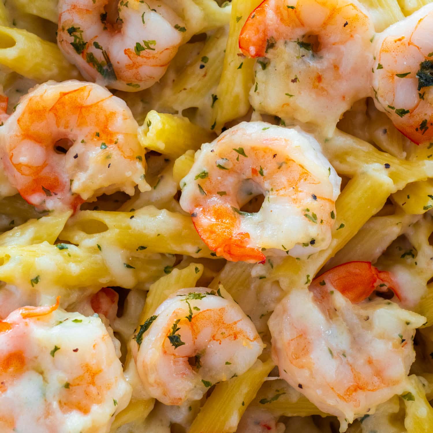 Shrimp Pasta Casserole - Brooklyn Farm Girl