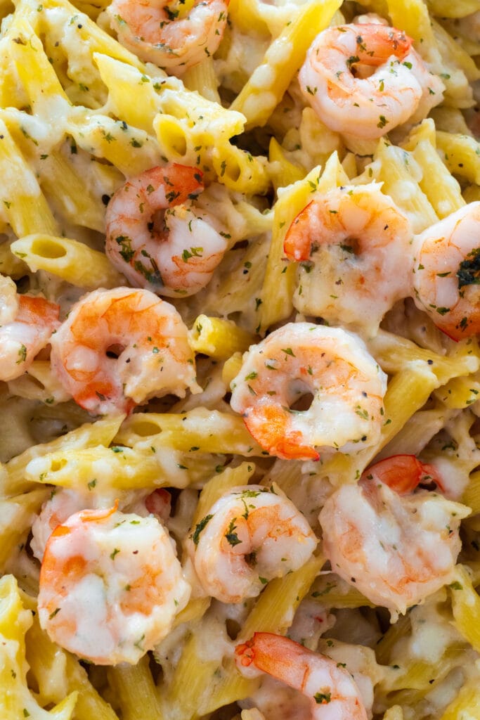 garlic shrimp with penne pasta.
