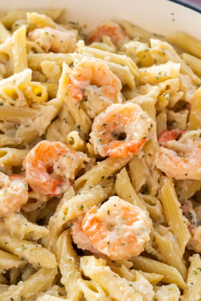 creamy shrimp with penne pasta.