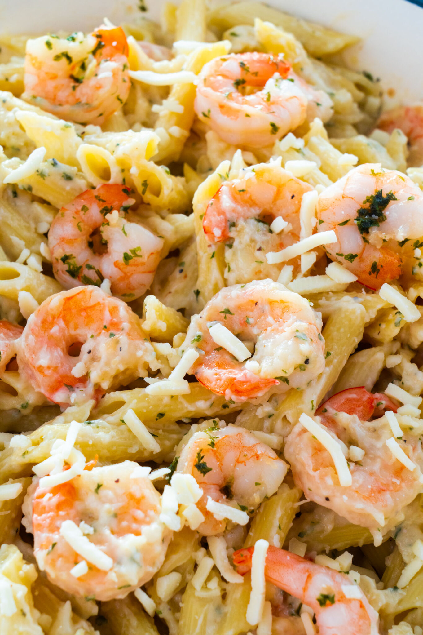 Shrimp Pasta Casserole - Brooklyn Farm Girl