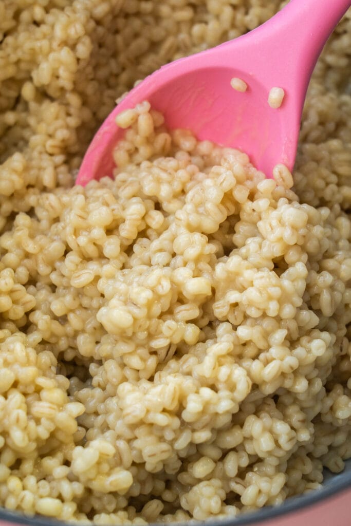 pink spoon scooping out cooked barley.