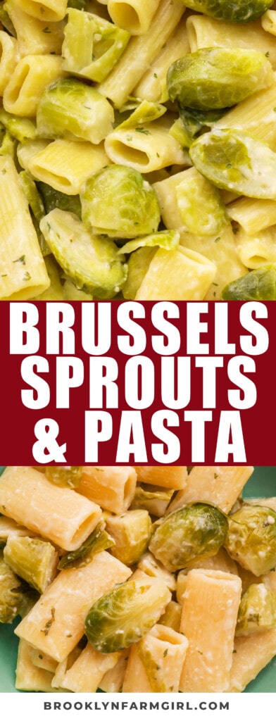 Easy Creamy Pasta with Brussels Sprouts!  Brussels Sprouts are cooked with the pasta and then coated in a creamy white Parmesan cheese sauce.   Serve it whenever you need a quick dinner meal!