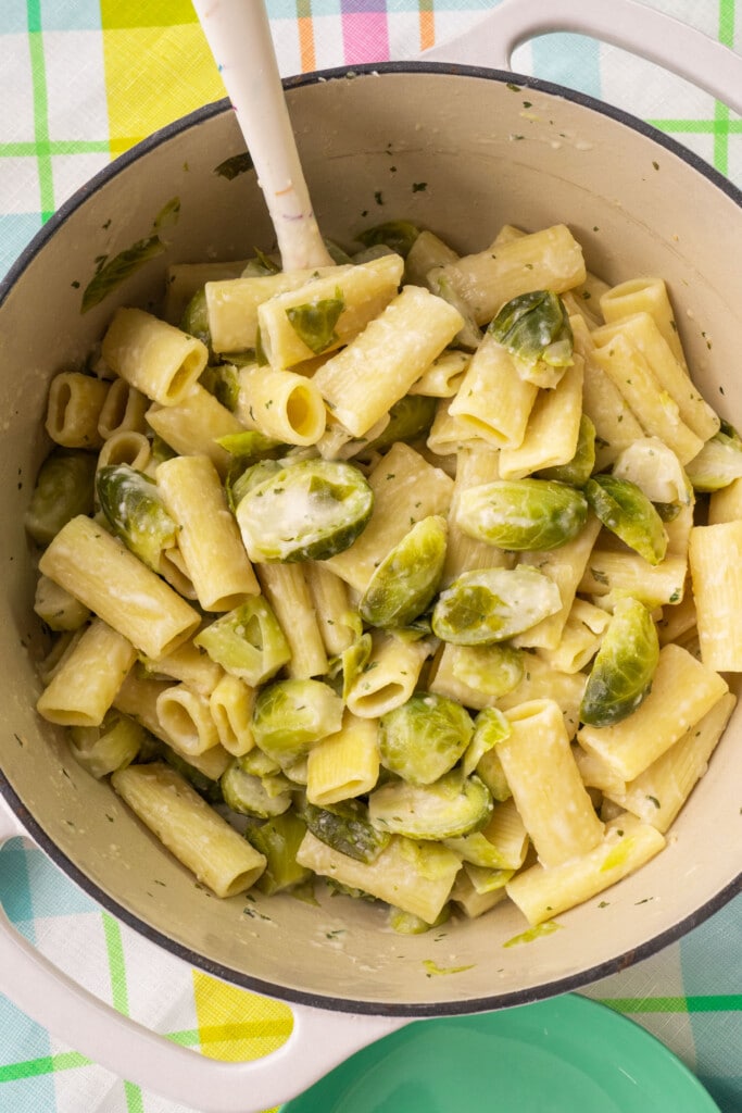 creamy brussels sprouts and rigatoni in white pot.