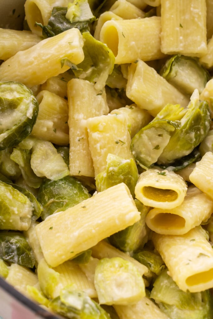 closeup of cheesy brussels sprouts and pasta.