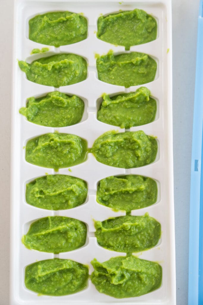 pea puree in ice cube trays.