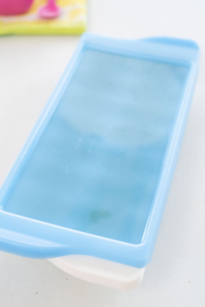 ice cube tray with lid on it.