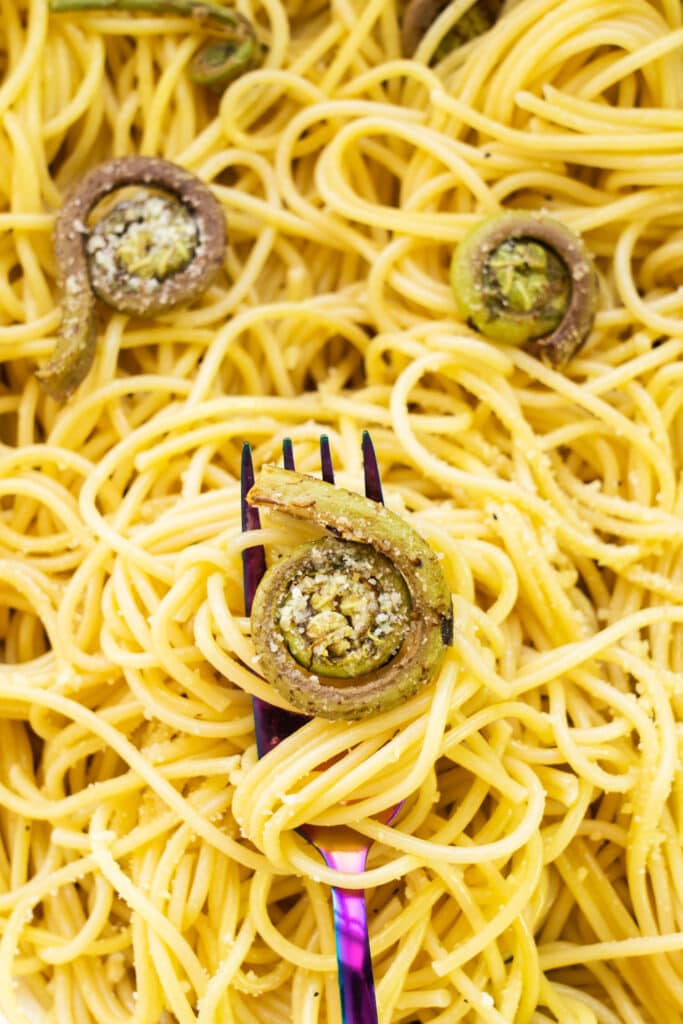 closeup of fiddlehead on fork with spaghetti.