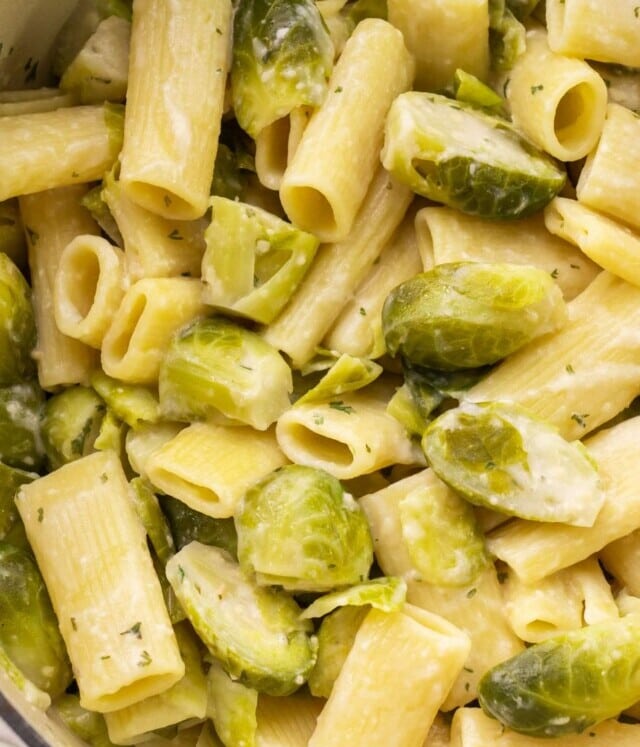 cropped-Creamy-Brussels-Sprouts-Rigatoni_10.jpg