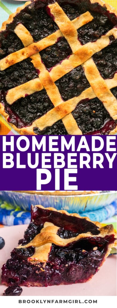 The BEST blueberry pie recipe, made with fresh blueberries. The flaky crust provides a satisfying crunch, while the juicy blueberry filling bursts with sweetness and a hint of tartness. It's a homemade dessert that is both comforting and refreshing. I hope you love it! Great beginner recipe if you've never made blueberry pie!