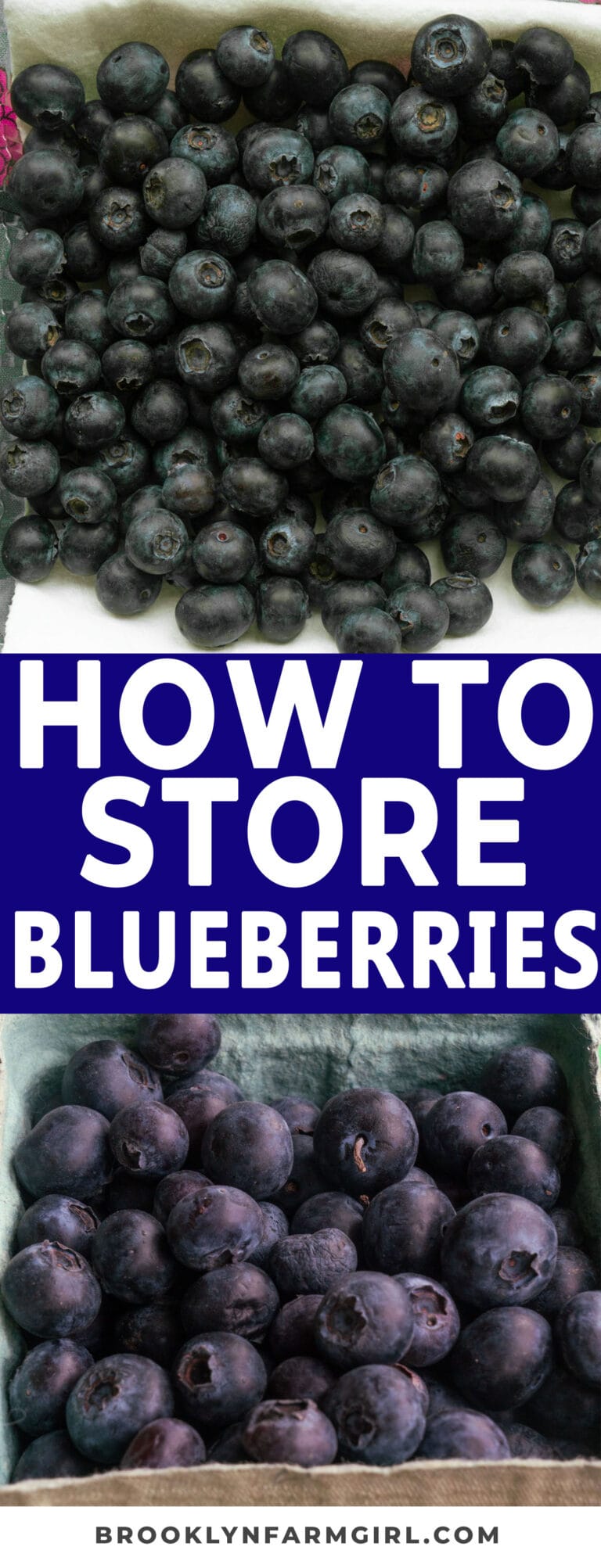 How to Store and Freeze Fresh Blueberries Brooklyn Farm Girl