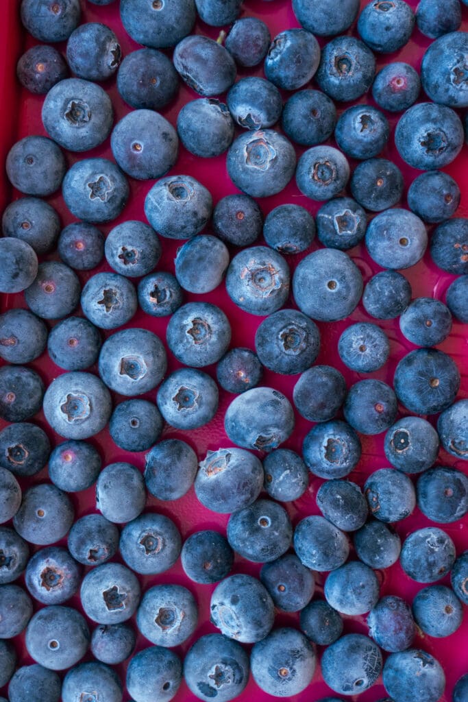 frozen blueberries on baking sheet.
