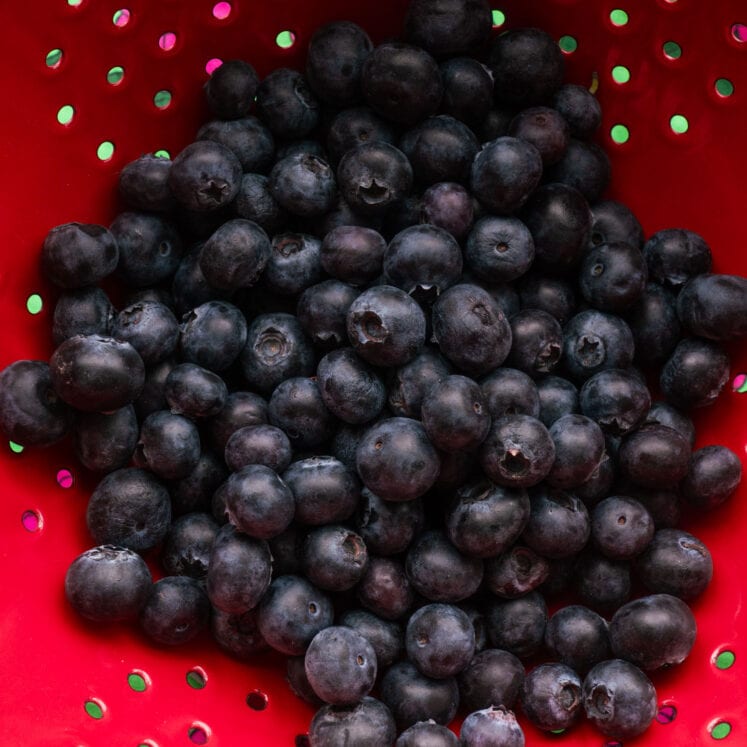 How to Store Blueberries Brooklyn Farm Girl