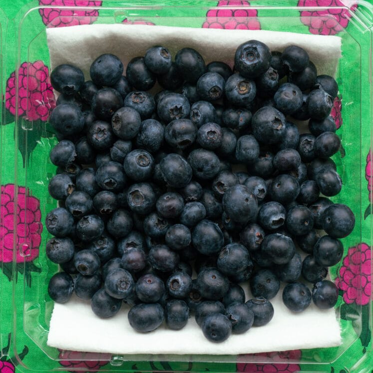 How to Store Blueberries Brooklyn Farm Girl
