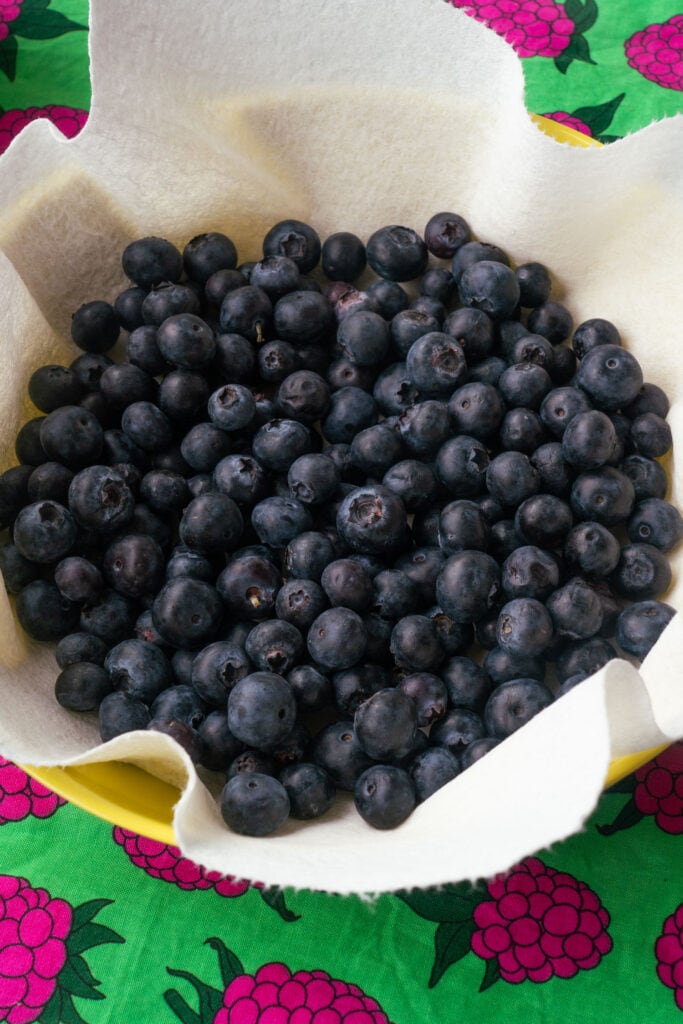 bowl filled with blueberries on paper towel.