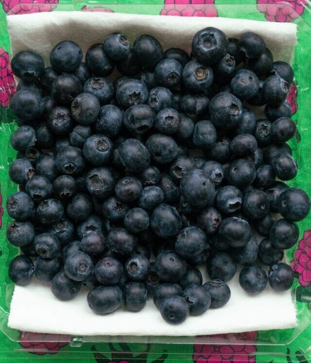 cropped-How-to-Store-Blueberries_4.jpg