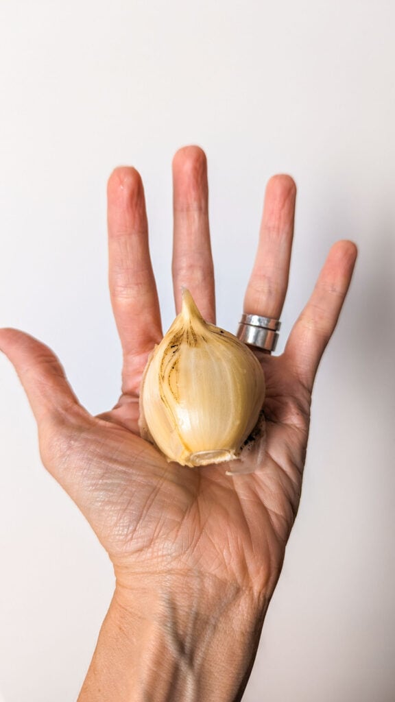 hand holding giant clove of garlic.