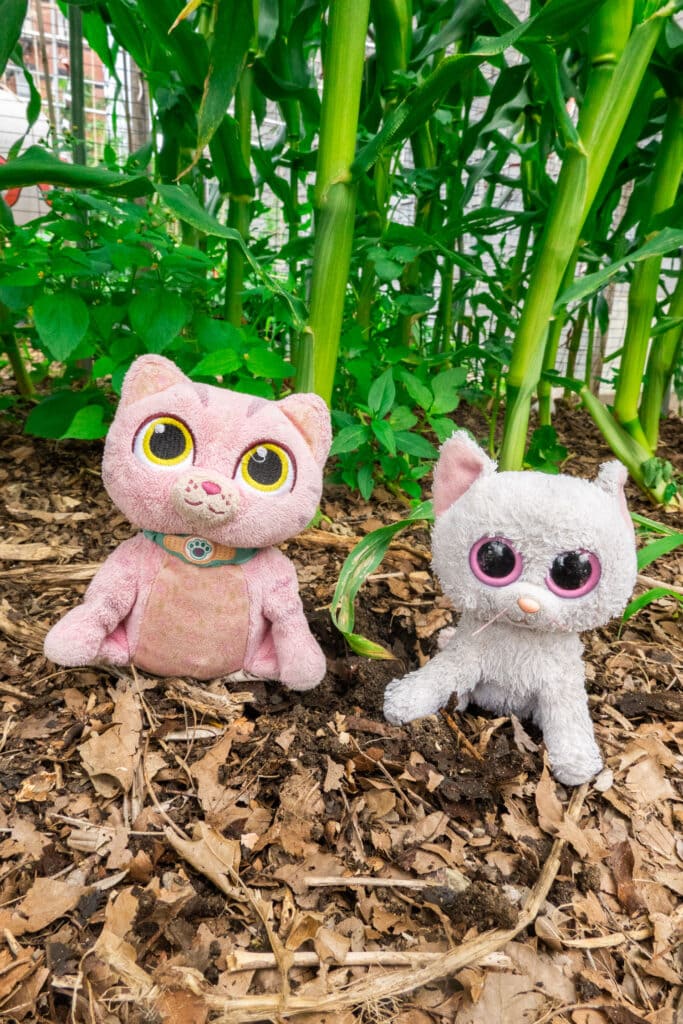 stuffed cats in the garden.