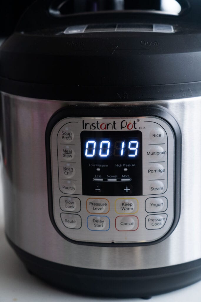 front of instant pot with 19 minutes on clock.