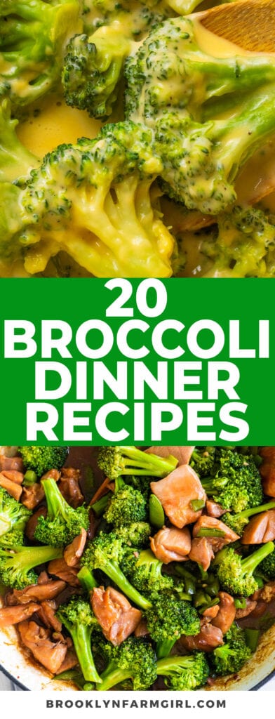 Level up your family's dinner game with our top 20 broccoli recipes that are not only delicious but also kid-approved! From cheesy casseroles to hearty soups, spaghetti and mac and cheese dishes, and more, we've picked these easy recipes that make broccoli the star of the show.