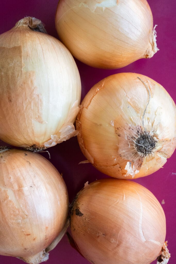 fresh onions on pink background.