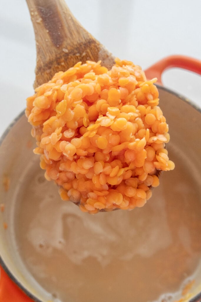 spoon filled with cooked red lentils above saucepan.
