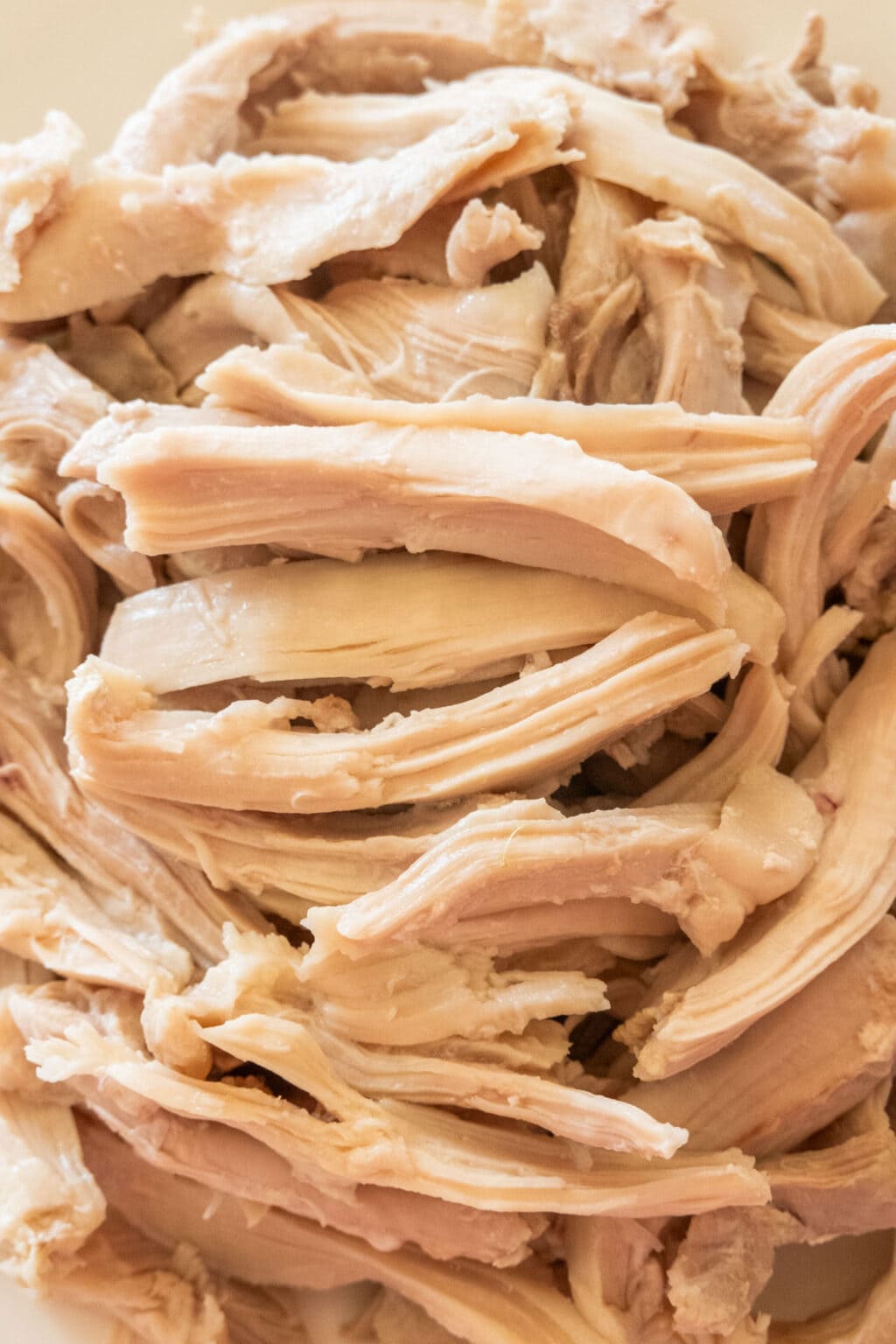 Chicken Noodle Soup Made with Chicken Thighs - Brooklyn Farm Girl
