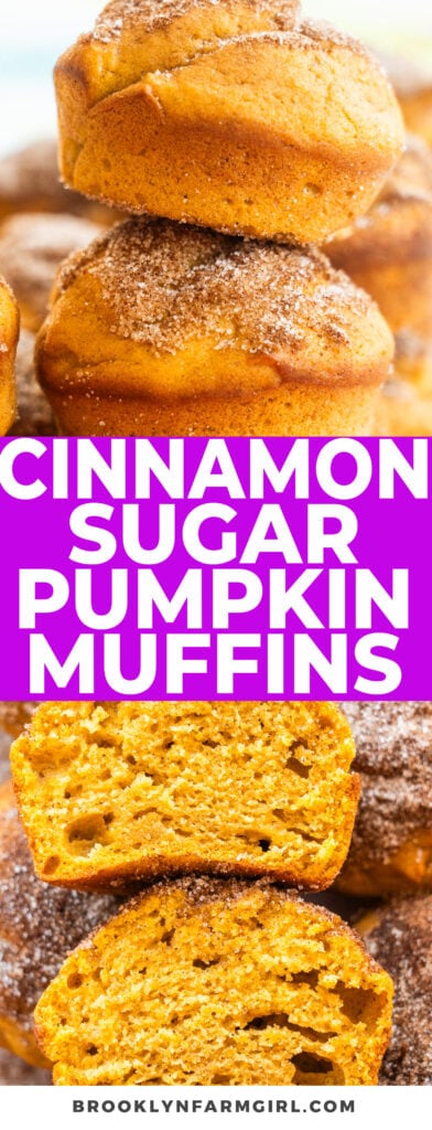 Super soft, fluffy and moist Pumpkin Muffins coated in cinnamon sugar that taste like donuts!  Simply mix the ingredients together, pour into a muffin pan and bake. You can make them either full size or mini muffins - both times are provided in recipe. Enjoy these comforting spiced muffins that will bring the aroma of Fall to your kitchen!