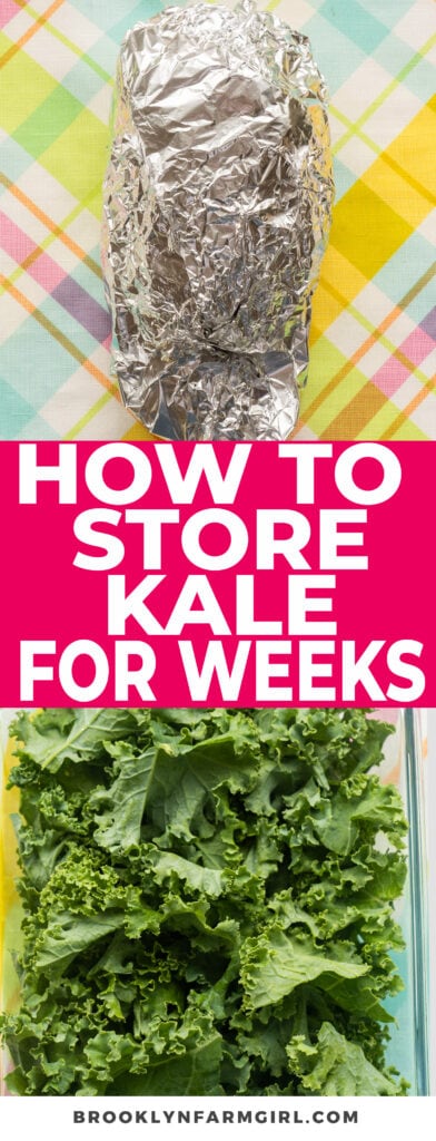 All you need is aluminum foil to keep kale crisp! This is such an easy way to store kale in the refrigerator to make it last for weeks.