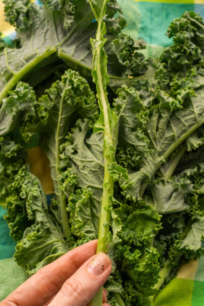 kale being remove from stems.