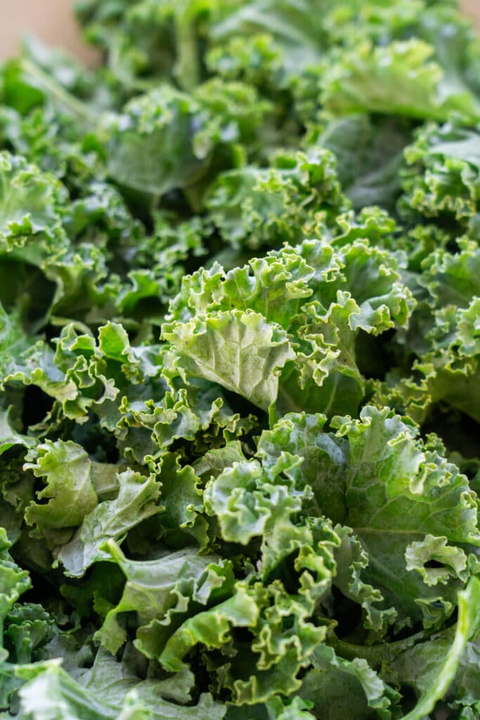 closeup of fresh kale