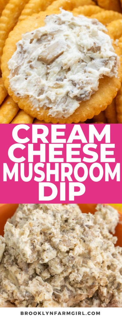 This cream cheese mushroom dip tastes just like stuffed mushrooms!  It's made on the stovetop in just 10 minutes, with no baking required!  Serve with crackers and veggies for your new favorite appetizer or snack!