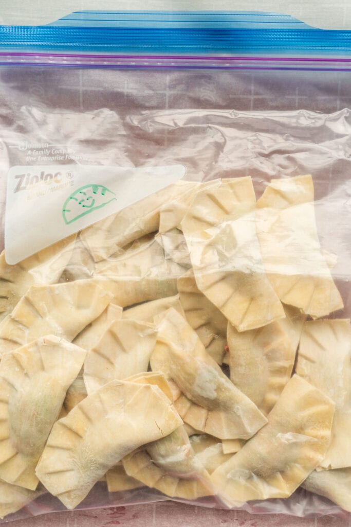 frozen dumplings in freezer bag.