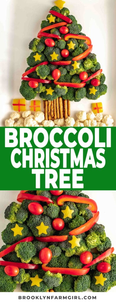 Easy, healthy broccoli Christmas tree made with broccoli, cauliflower, peppers, tomatoes and pretzels. It's a perfect 10 minute holiday snack or appetizer vegetable tray!  