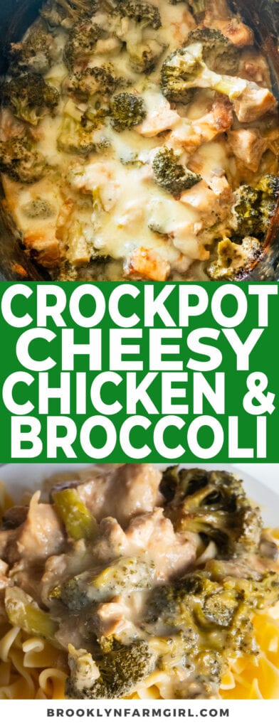 4 hour crockpot chicken and broccoli recipe made with cream of mushroom soup, beef onion soup mix and shredded cheddar cheese! This creamy cheesy chicken recipe tastes so good served over egg noodles or rice! My family LOVES this for dinner (and I love it too because it's so easy!).