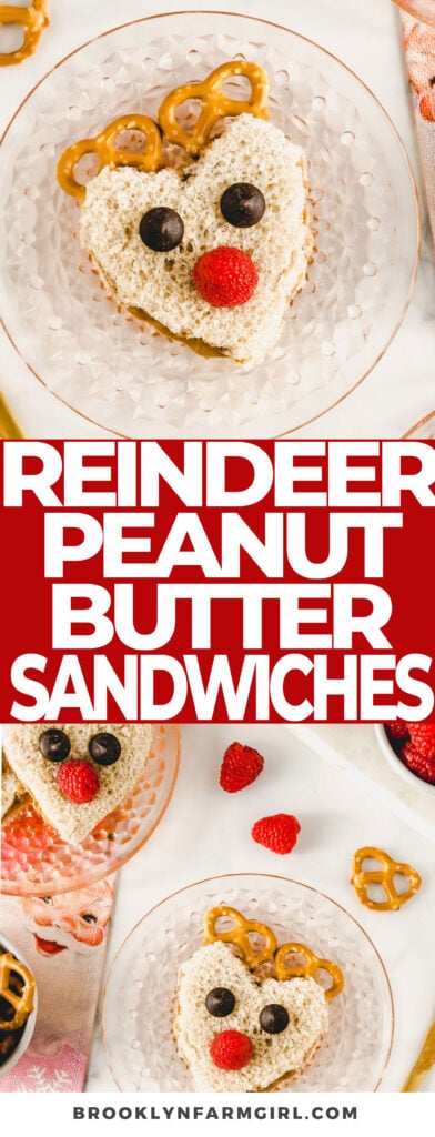Make the cutest reindeer peanut butter sandwiches for a holiday lunch or snack!  All you need is bread, peanut butter, pretzels, chocolate chips and raspberries!  A simple, fun, and healthy treat kids will love!