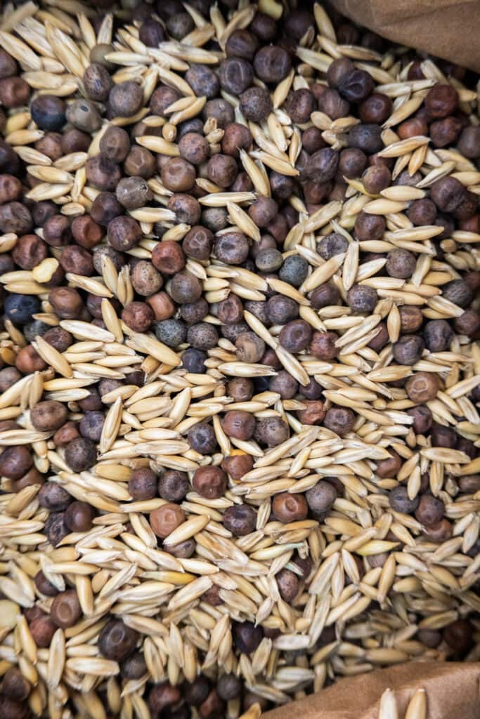 closeup of cover crop seeds.