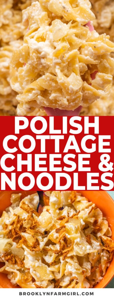 Easy and quick Polish Noodles, aka Cottage Cheese and Noodles. This family friendly comfort food made with egg noodles, cottage cheese and sour cream is filling and inexpensive. 