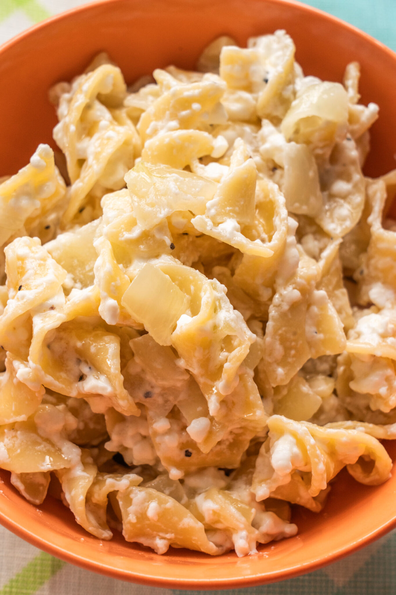 Polish Cottage Cheese and Noodles Brooklyn Farm Girl