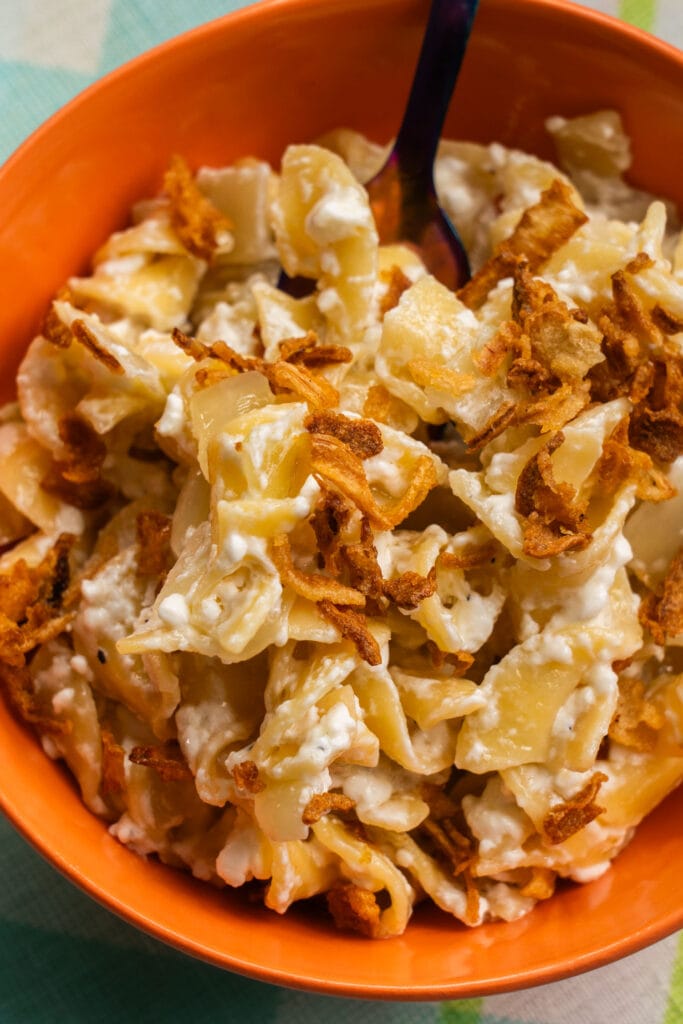 bowl filled with creamy cottage cheese and noodles with fried onions on top.