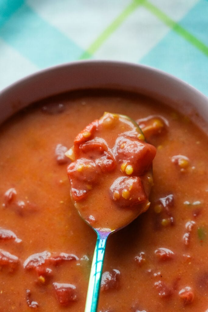 spoon filled with lentil tomato soup.