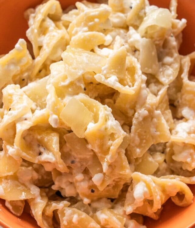 cropped-Polish-Cottage-Cheese-and-Noodles_15.jpg