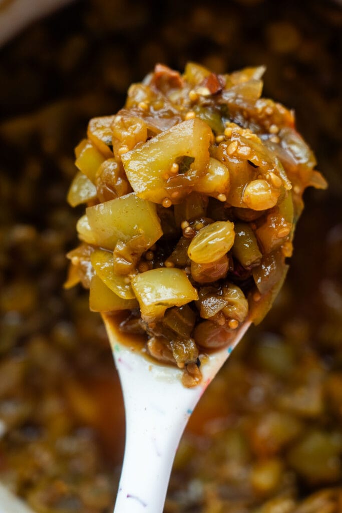 closeup of spoon filled with tomato chutney.