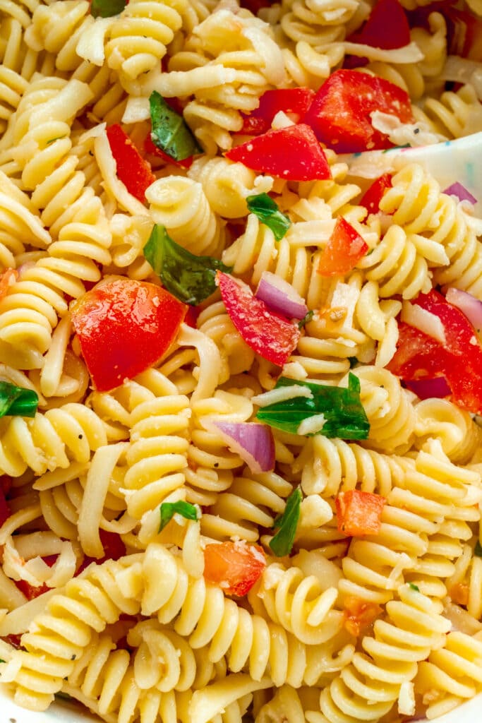 closeup of tomato basil pasta.