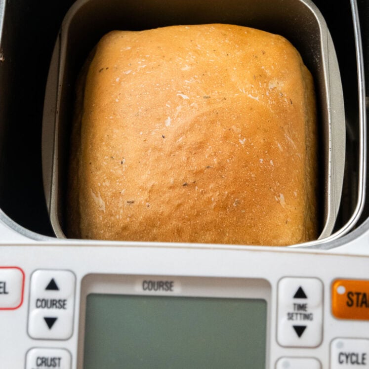 Bread Machine Italian Herb Bread (basil and oregano) - Brooklyn Farm Girl