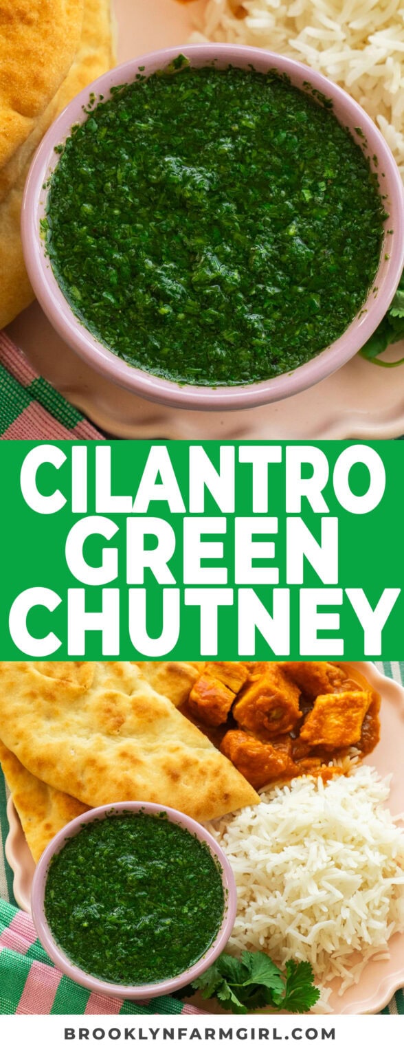 5 Minute Cilantro Green Chutney Spicy Or Mild Brooklyn Farm Girl