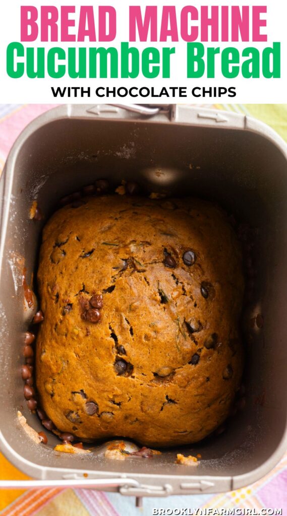 This easy bread machine cucumber bread is soft, moist, and packed with chocolate chips. Made right in your bread maker, it’s a fun and simple way to use up extra garden cucumbers!